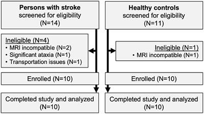 Preliminary Outcomes of Combined Treadmill and Overground High-Intensity Interval Training in Ambulatory Chronic Stroke